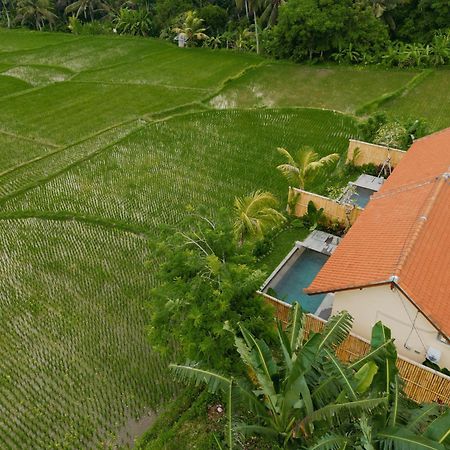 Uma Rimbun Pool Villa By Uniquecations Ubud Buitenkant foto