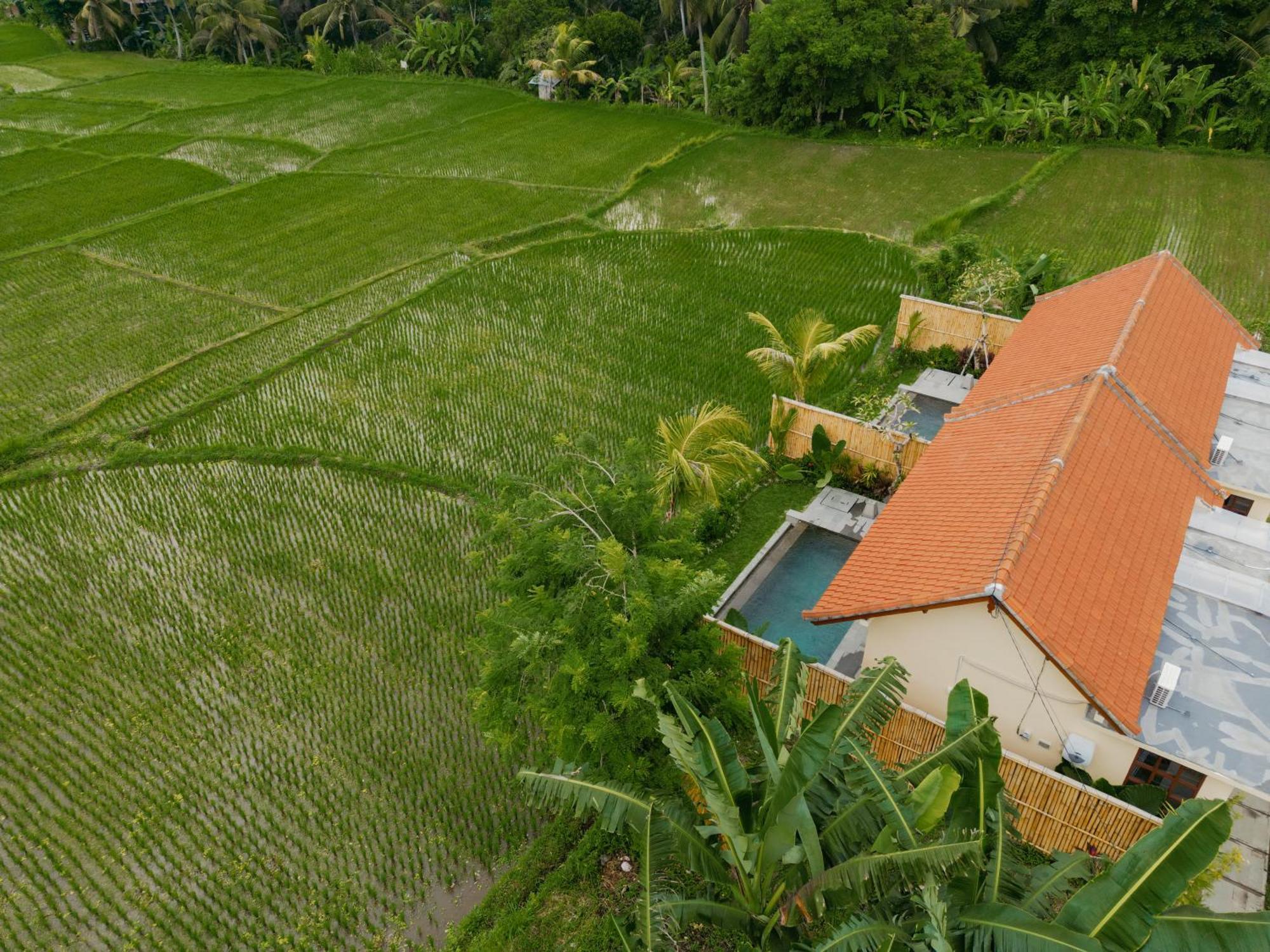 Uma Rimbun Pool Villa By Uniquecations Ubud Buitenkant foto